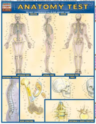 Anatomy Test