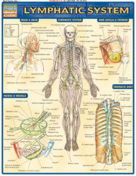 Title: Lymphatic System, Author: Vincent Perez