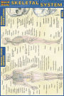 Skeletal System