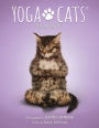Yoga Cats Deck/Book Set