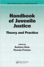 Handbook of Juvenile Justice: Theory and Practice / Edition 1