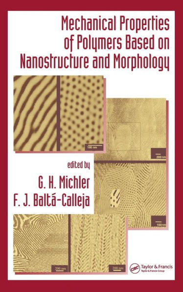 Mechanical Properties of Polymers based on Nanostructure and Morphology / Edition 1