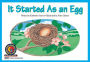 It Started As an Egg