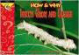 How and Why Insects Grow and Change
