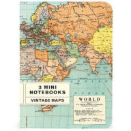 Title: 3 Mini Notebooks - Maps