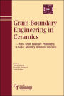 Grain Boundary Engineering in Ceramics: From Grain Boundary Phenomena to Grain Boundary Quantum Structures / Edition 3