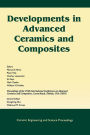 Developments in Advanced Ceramics and Composites: A Collection of Papers Presented at the 29th International Conference on Advanced Ceramics and Composites, Jan 23-28, 2005, Cocoa Beach, FL / Edition 1