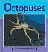 Octopuses