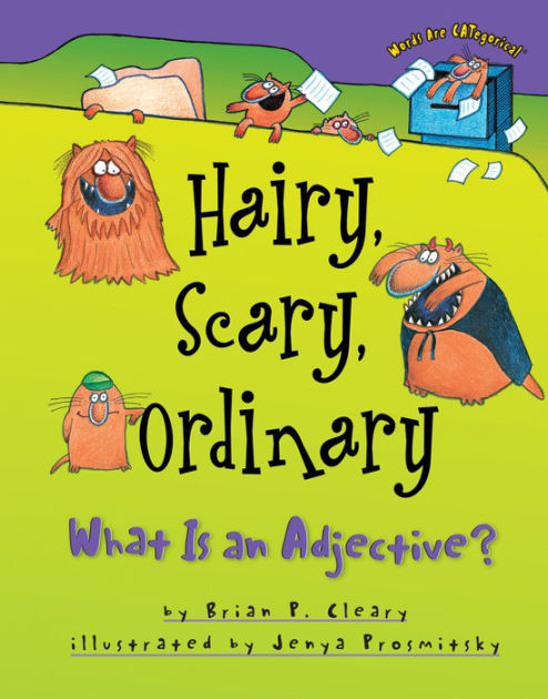 Hairy Scary Ordinary What Is An Adjective 24