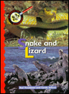 Snake and Lizard