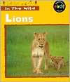 Lions
