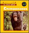 Chimpanzees