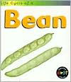 Bean