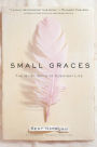 Small Graces: The Quiet Gifts of Everyday Life