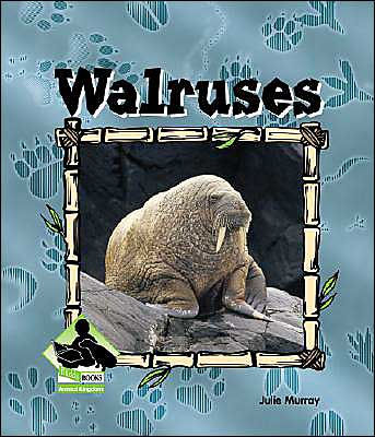 Walruses