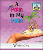 A Palm in My Palm
