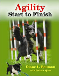Agility: From Start to Finish