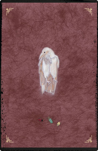 The Oracle of Rewilding: Pathways to Renewing Our Kinship with All Things (44 Full-Color Cards and 176-Page Guidebook)
