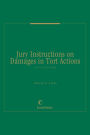 Jury Instructions on Damages in Tort Actions