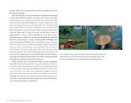 Alternative view 7 of Hot Sour Salty Sweet: A Culinary Journey Through Southeast Asia