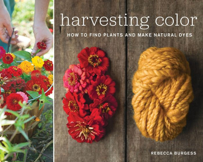 Harvesting Color How to Find Plants and Make Natural Dyes by Rebecca Burgess, Paperback
