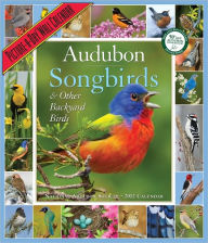 2012 Audubon Songbirds & Other Backyard Birds Picture-A-Day Wall Calendar