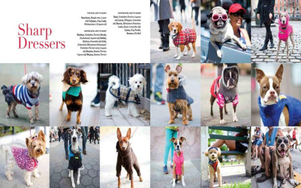 The Dogist: Photographic Encounters with 1,000 Dogs