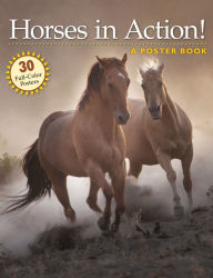 Horses in Action: A Poster Book