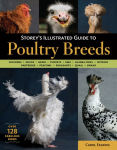 Alternative view 1 of Storey's Illustrated Guide to Poultry Breeds: Chickens, Ducks, Geese, Turkeys, Emus, Guinea Fowl, Ostriches, Partridges, Peafowl, Pheasants, Quails, Swans