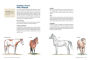 Alternative view 6 of How to Think Like a Horse: The Essential Handbook for Understanding Why Horses Do What They Do