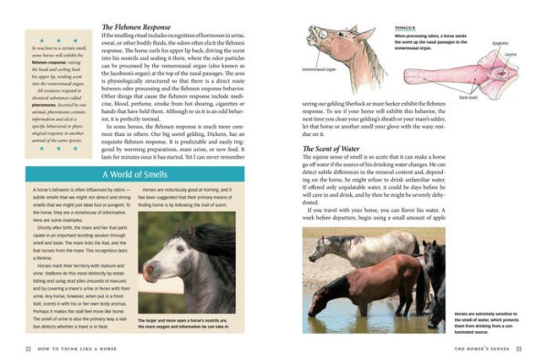 How to Think Like a Horse: The Essential Handbook for Understanding Why Horses Do What They Do