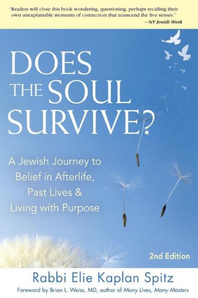 Does the Soul Survive? (2nd Edition): A Jewish Journey to Belief in Afterlife, Past Lives & Living with Purpose