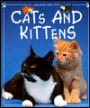 Cats and Kittens