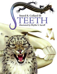 Teeth