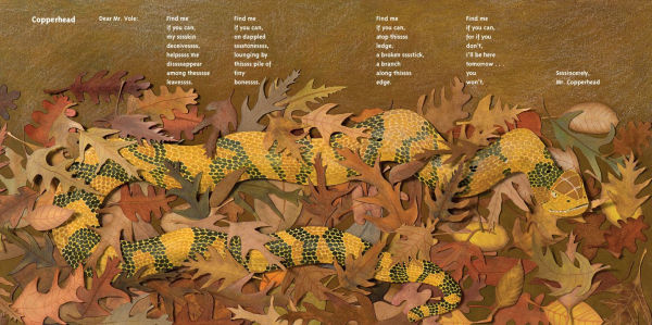 Now You See Them, Now You Don't: Poems About Creatures that Hide