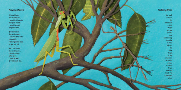 Now You See Them, Now You Don't: Poems About Creatures that Hide