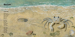 Alternative view 4 of Now You See Them, Now You Don't: Poems About Creatures that Hide