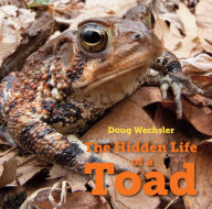 Title: The Hidden Life of a Toad, Author: Doug Wechsler