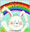 What Makes a Rainbow?: A Magic Ribbon Book