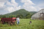 Alternative view 5 of The Vermont Farm Table Cookbook: 150 Home Grown Recipes from the Green Mountain State