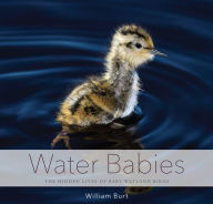 Title: Water Babies: The Hidden Lives of Baby Wetland Birds, Author: William Burt
