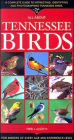 All about Tennessee Birds