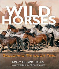 Wild Horses: Galloping Through TIme