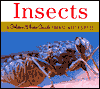 Insects