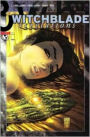 Witchblade, Volume 2: Revelations