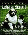 Essential Australian Shepherd