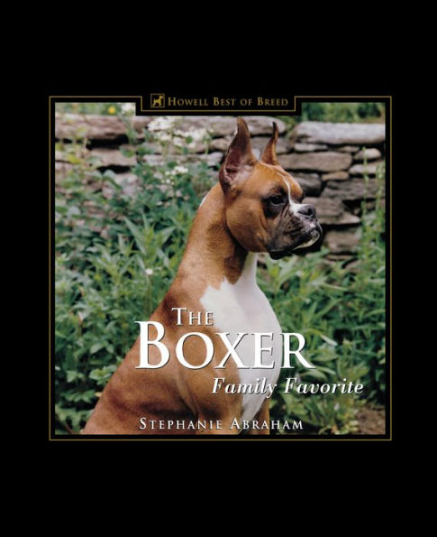 The Boxer: Family Favorite