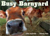 Title: Busy Barnyard, Author: John Schindel