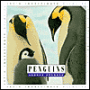 Penguins (Let's Investigate Series)