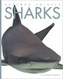 Sharks (Amazing Animals Series)